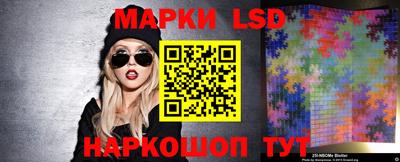 гашик Будённовск