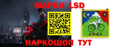 гашик Будённовск
