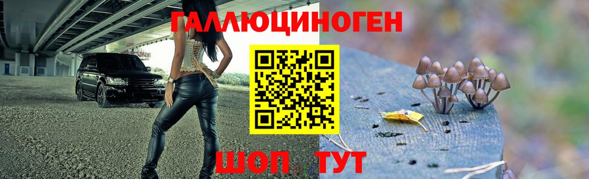 Галлюциногенные грибы Cubensis Москва